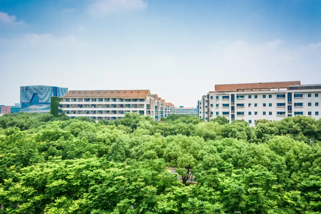 How to Get Admission in BCA Colleges in Bangalore