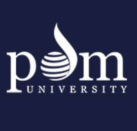 PDM University (Bahadurgarh region)