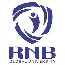 RNB Global, Bikaner